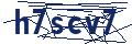 Dash Inspectorate