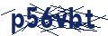 Dash Inspectorate