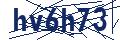 Dash Inspectorate