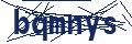 Dash Inspectorate